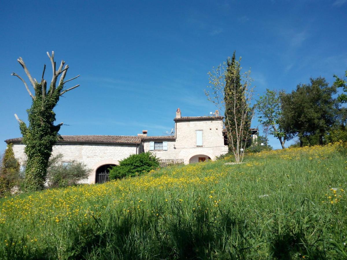 Agriturismo Del Frontino - Lo Studio Apartment Acqualagna Exterior photo