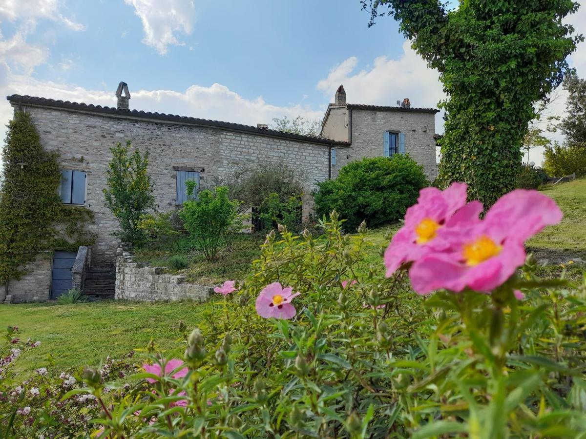 Agriturismo Del Frontino - Lo Studio Apartment Acqualagna Exterior photo