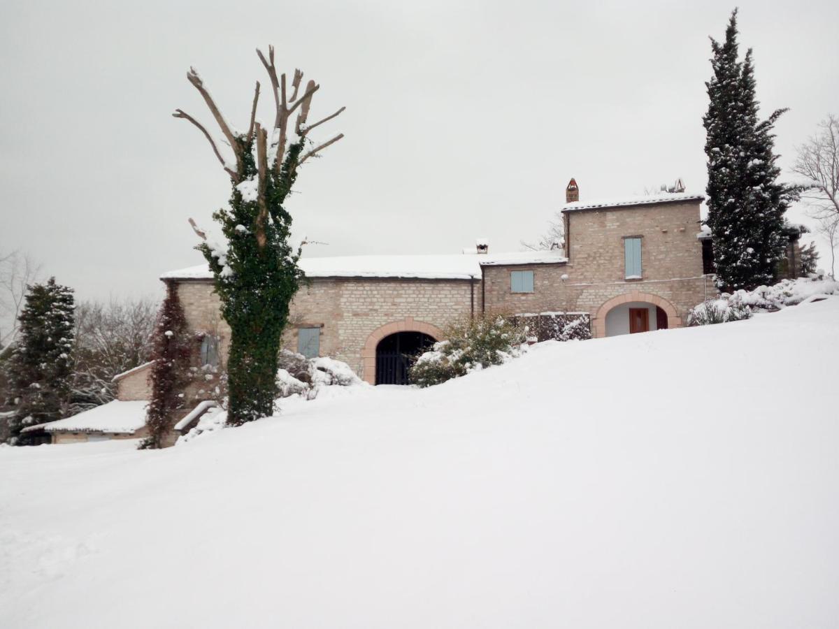 Agriturismo Del Frontino - Lo Studio Apartment Acqualagna Exterior photo