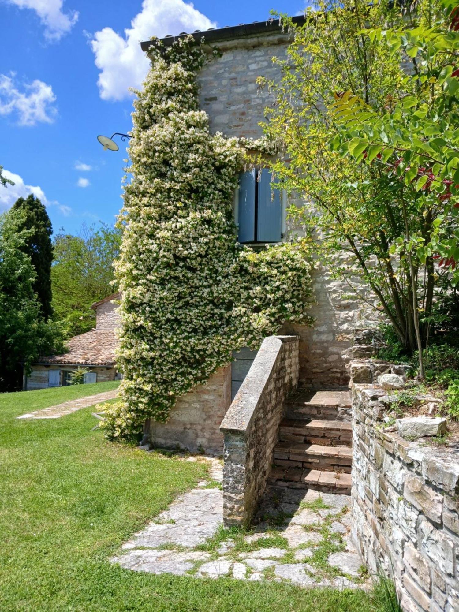 Agriturismo Del Frontino - Lo Studio Apartment Acqualagna Exterior photo