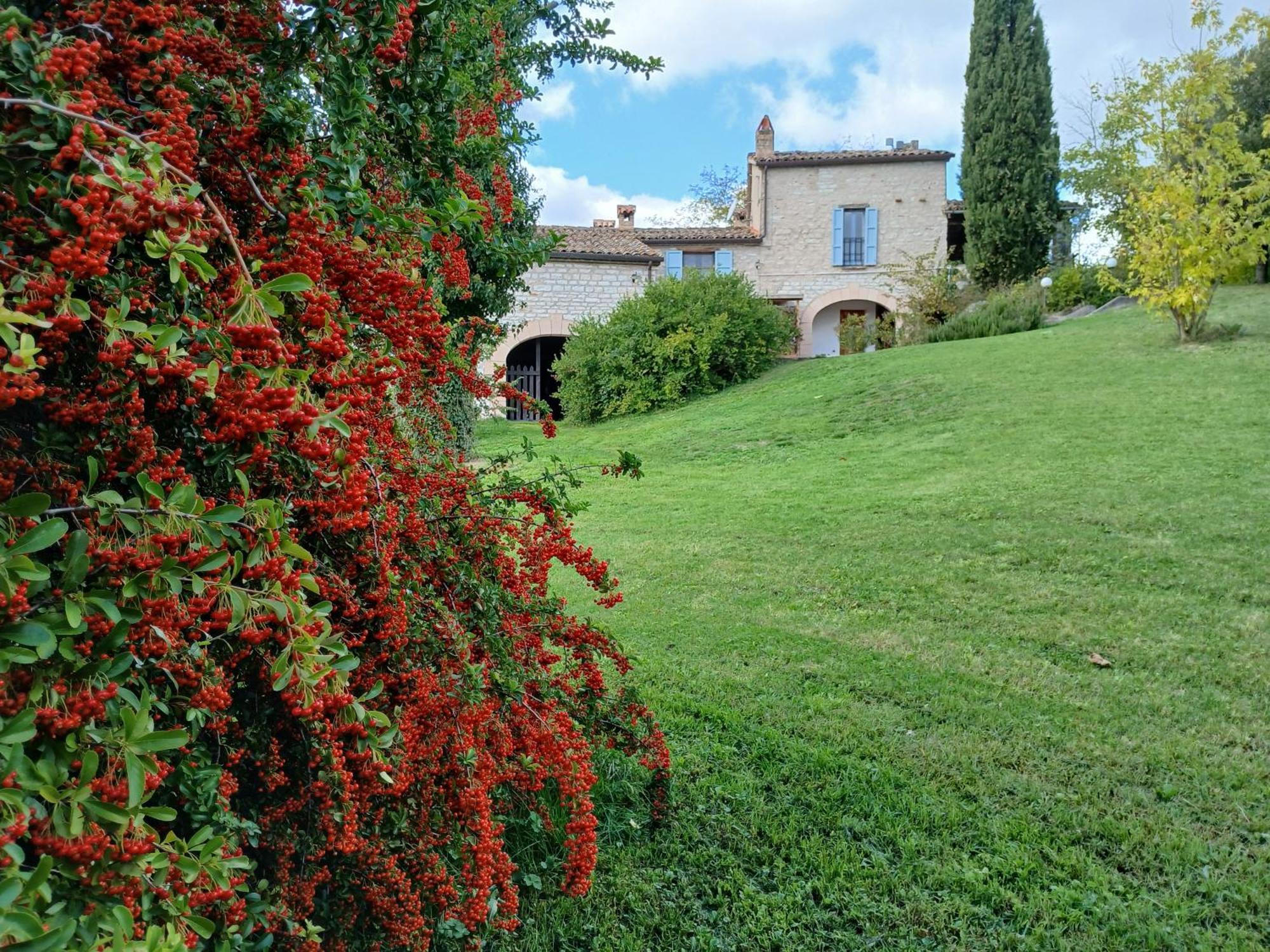 Agriturismo Del Frontino - Lo Studio Apartment Acqualagna Exterior photo